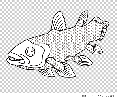 シーラカンス 深海魚 キャラクター ぬりえ イラスト クリップアートのイラスト素材