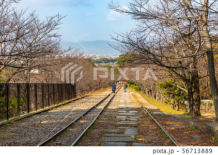 秋の京都蹴上インクライン 56713889