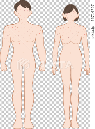Finished body before men and women 56714797