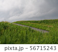 ゲリラ豪雨直前の雲 56715243