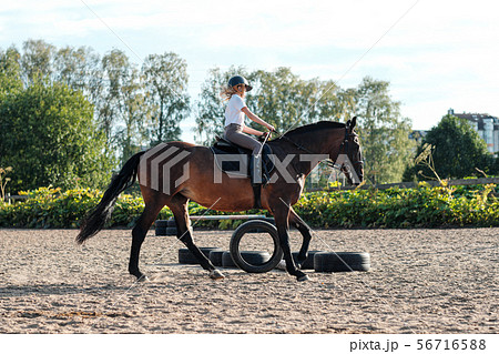 Girl teenager jockey trains on the field and at the hippodrome. Girl teenager jockey trains on the field and at the hippodrome. 56716588