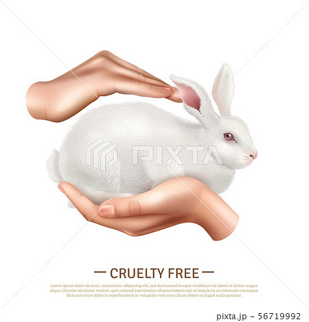 Cruelty Free Design Concept  56719992