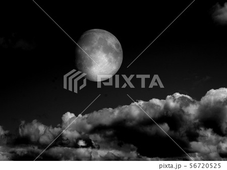 The moon in the night sky The moon in the night sky 56720525