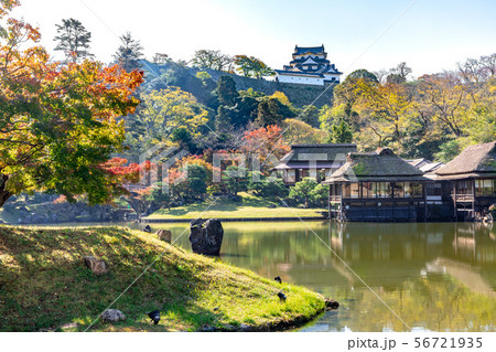 彦根城天守と玄宮園臨池閣 56721935