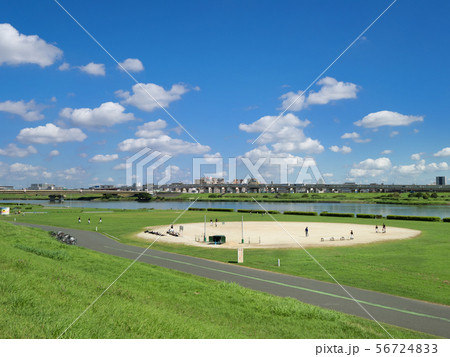 夏の荒川河川敷 夏の荒川河川敷 56724833