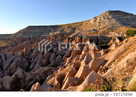 ローズバレー夕景 ローズバレー夕景 56725096