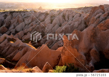 ローズバレー夕景 56725103