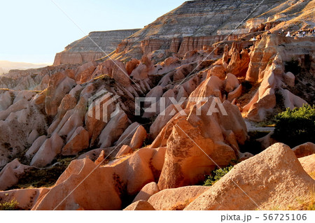 ローズバレー夕景 56725106
