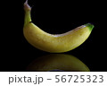 台湾 実芭蕉 バナナ 56725323