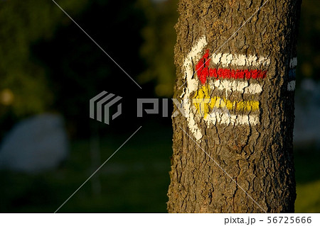 Hiking trail Hiking trail 56725666