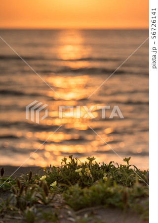 内灘海岸の夕景 内灘海岸の夕景 56726141