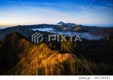 Mt Bromo Mt Bromo 56726441