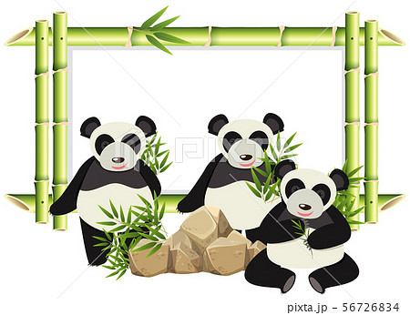 Border template with cute panda and bamboo 56726834