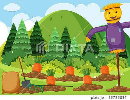 Scene with carrot garden and scarecrow 56726835