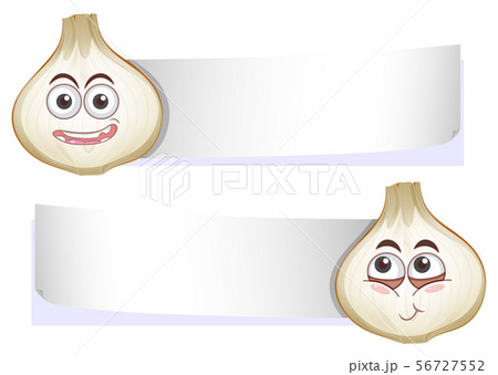 Garlic with Blank Banner on White Background 56727552