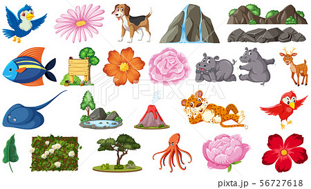 Set of isolated objects theme - animal and plants 56727618