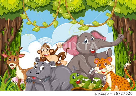 Jungle Animals In A Forest Claringのイラスト素材 56727620 Pixta