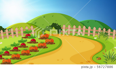 Landscape background design of vegetable garden Landscape background design of vegetable garden 56727886