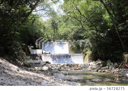夏の川 56728275