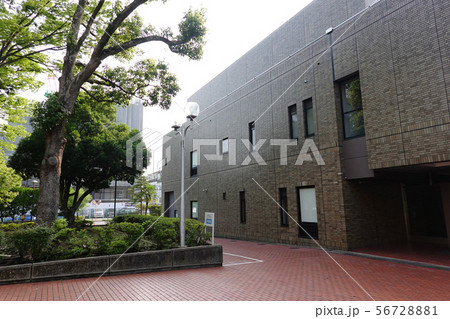 江戸川区総合文化センター 56728881