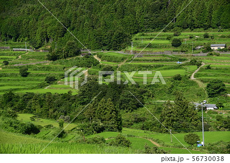 高知　長岡郡本山町の吉延の棚田 56730038