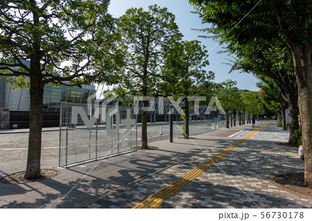 東京都現代美術館 東京都現代美術館 56730178