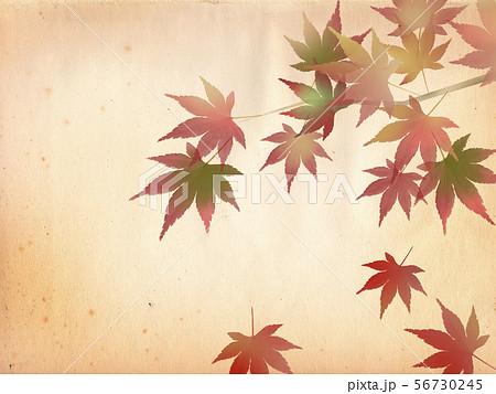紅葉 和風 和柄 和風背景 紅葉 和柄素材 日本 和 和模様 市松模様 フレーム 枠 紅葉 和風 和柄 和風背景 紅葉 和柄素材 日本 和 和模様 市松模様 フレーム 枠 56730245