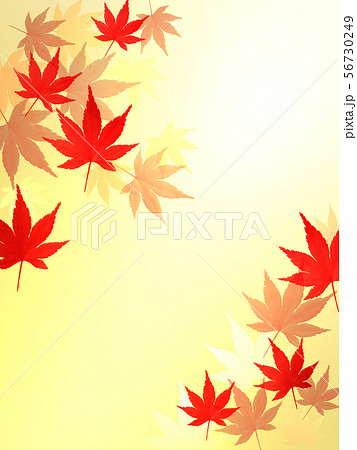 紅葉 和風 和柄 和風背景 紅葉 和柄素材 日本 和 和模様 市松模様 ...