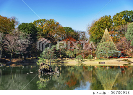 【六義園　紅葉】 56730918