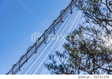 【六義園 雪吊り】 【六義園 雪吊り】 56731156