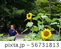 ひまわりとランナー 56731813