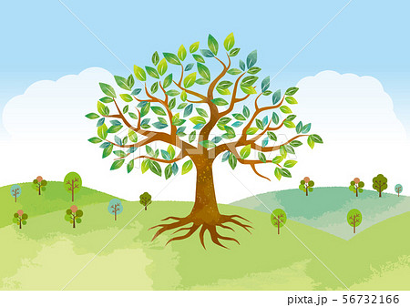 大木と大空と自然のイラスト素材