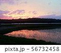 田植え後の夕焼け 56732458