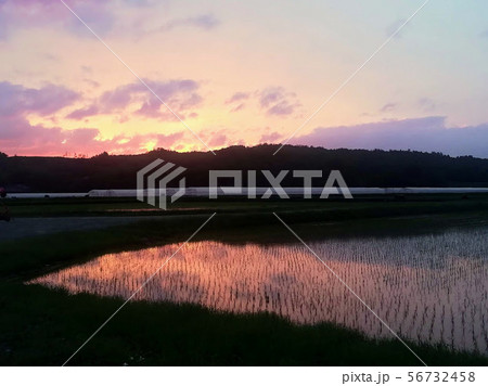 田植え後の夕焼け 田植え後の夕焼け 56732458