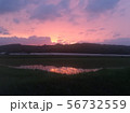 田植え後の夕焼け 56732559