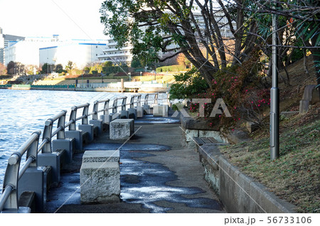 中の島公園 56733106