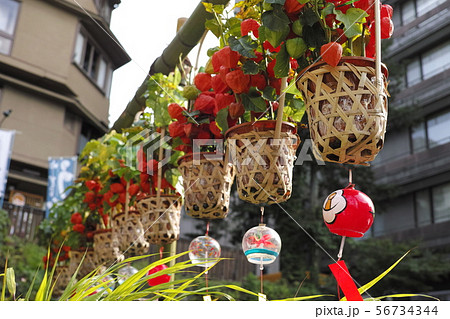 ほおずきと風鈴・伊香保温泉の石段にて 56734344