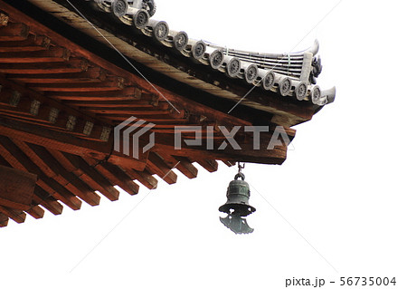 東寺、講堂屋根、重要文化財、単層入母屋造り 56735004