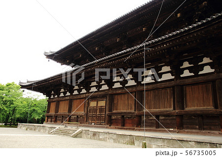 東寺、金堂、重要文化財、世界遺産 56735005