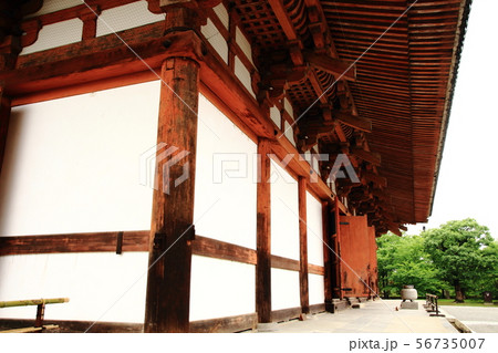 東寺、講堂、重要文化財、世界遺産 56735007