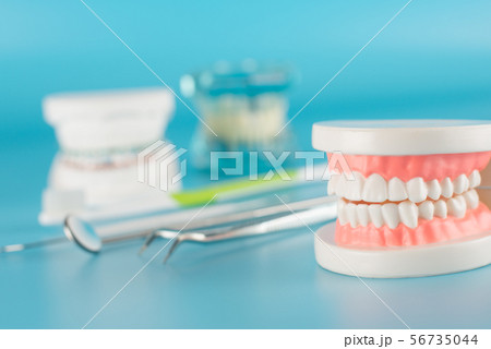 Dental check up by dentist.  56735044