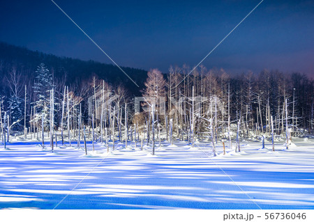 Beautiful outdoor landscape with blue pond river at night with light up in snow winter season 56736046