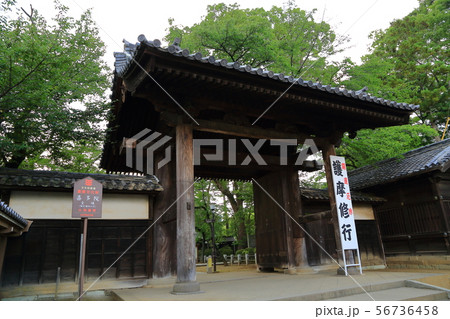 川越　喜多院　山門 56736458