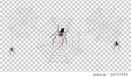 蜘蛛 蜘蛛の巣 ベクター イラスト クリップアート 蜘蛛 蜘蛛の巣 ベクター イラスト クリップアート 56737505
