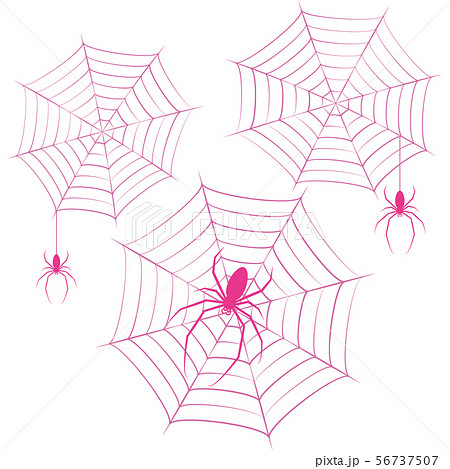 蜘蛛 蜘蛛の巣 ベクター イラスト クリップアートのイラスト素材