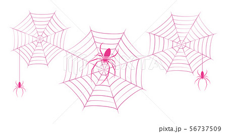 蜘蛛 蜘蛛の巣 ベクター イラスト クリップアートのイラスト素材