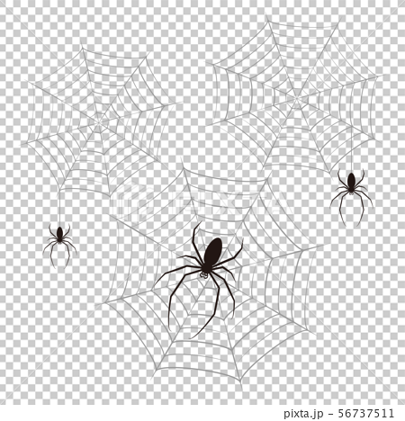 蜘蛛 蜘蛛の巣 ベクター イラスト クリップアートのイラスト素材