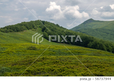 panorama of Bieszczady mountains in Poland 56737944
