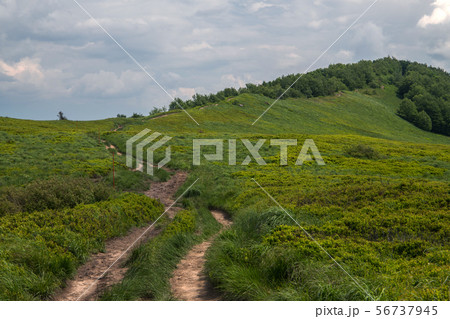 panorama of Bieszczady mountains in Poland panorama of Bieszczady mountains in Poland 56737945