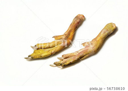 raw duck foot on white background raw duck foot on white background 56738610